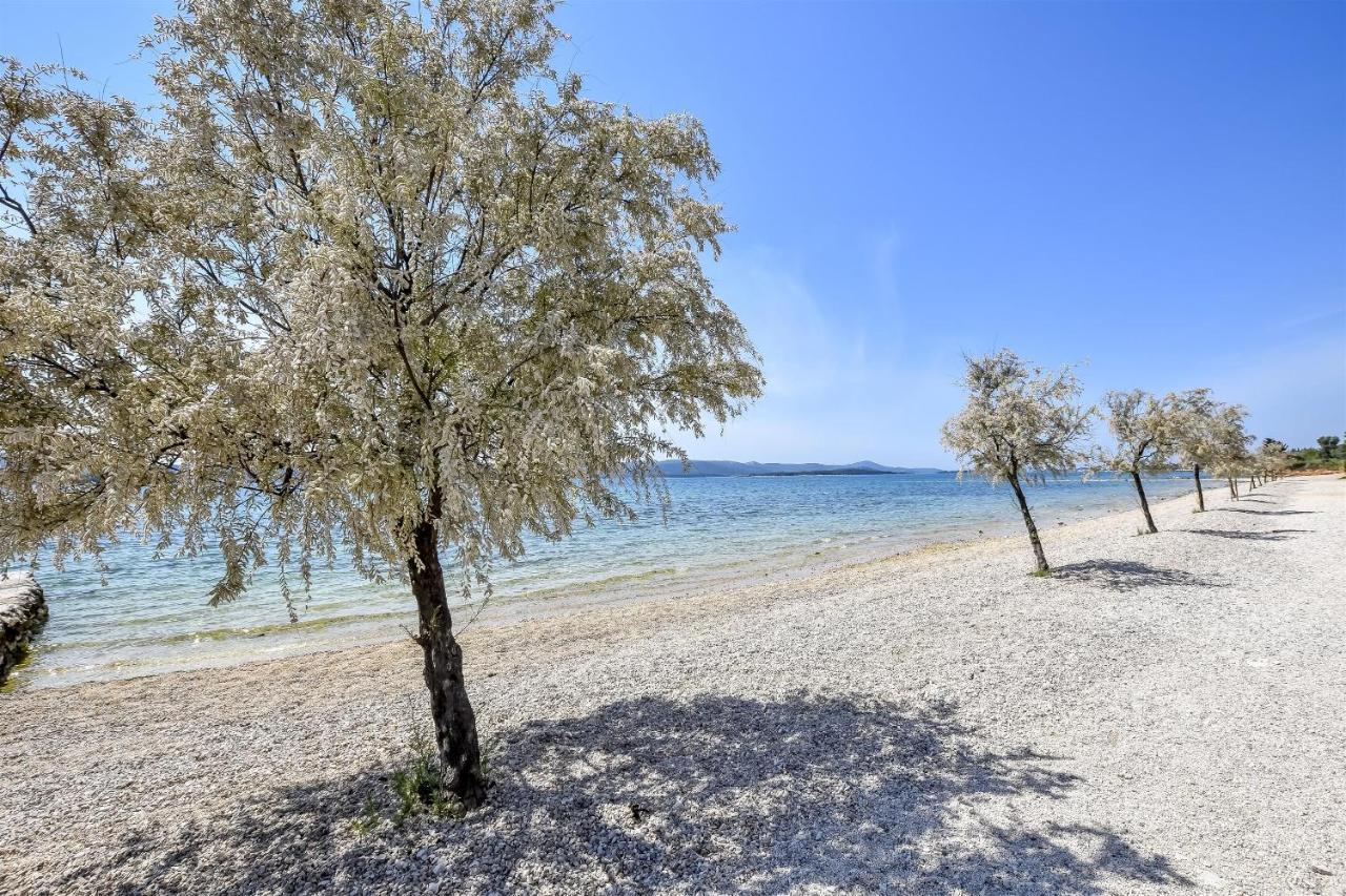 Mobile Home Dandelion Biograd Na Moru Exterior foto